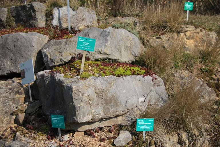 Habitat Section