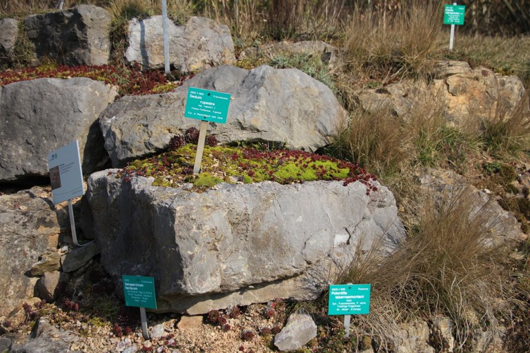 Habitat Section