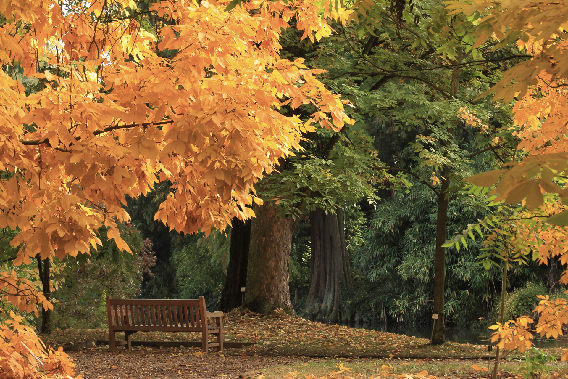 Herbst_am_Weiher_mit_Bank_U.Sobick.jpg