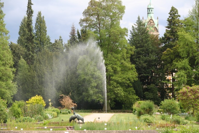 Kranichbecken_mit_Fontäne_W.Lobin.jpg