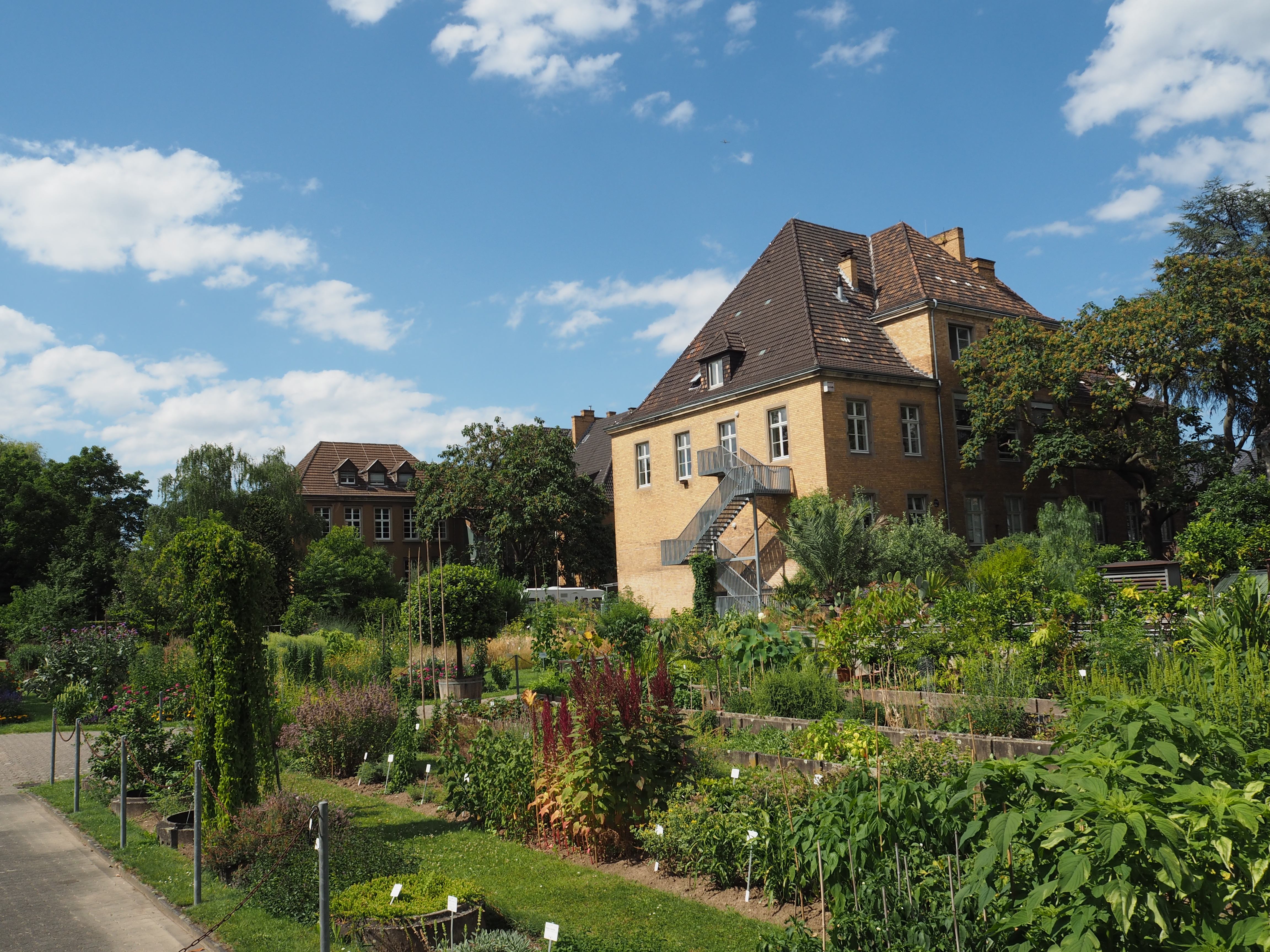 Nutzpflanzengarten_Teil1_C.Löhne_Bild_2.JPG