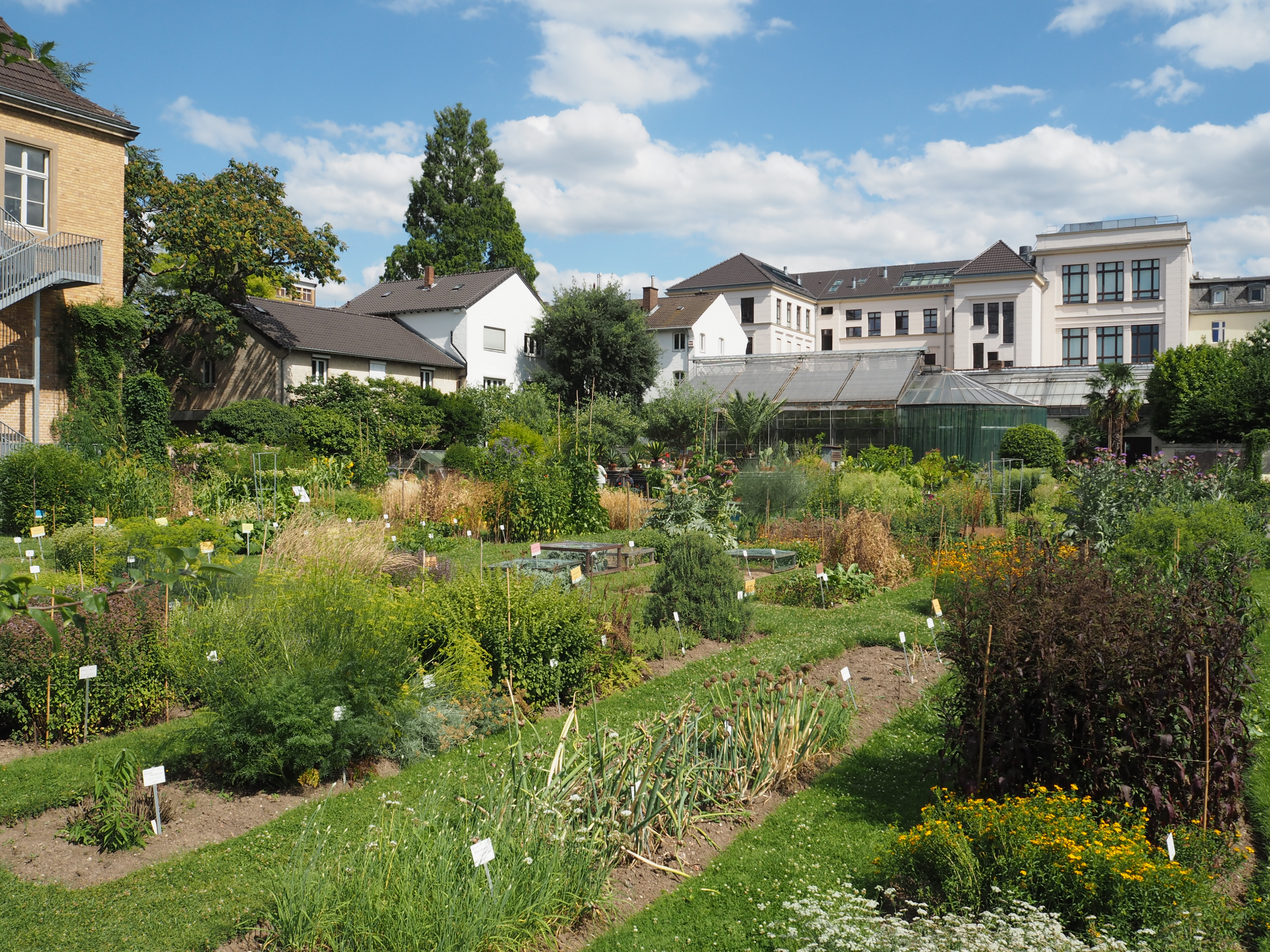 Nutzpflanzengarten_005701_C.Löhne.JPG