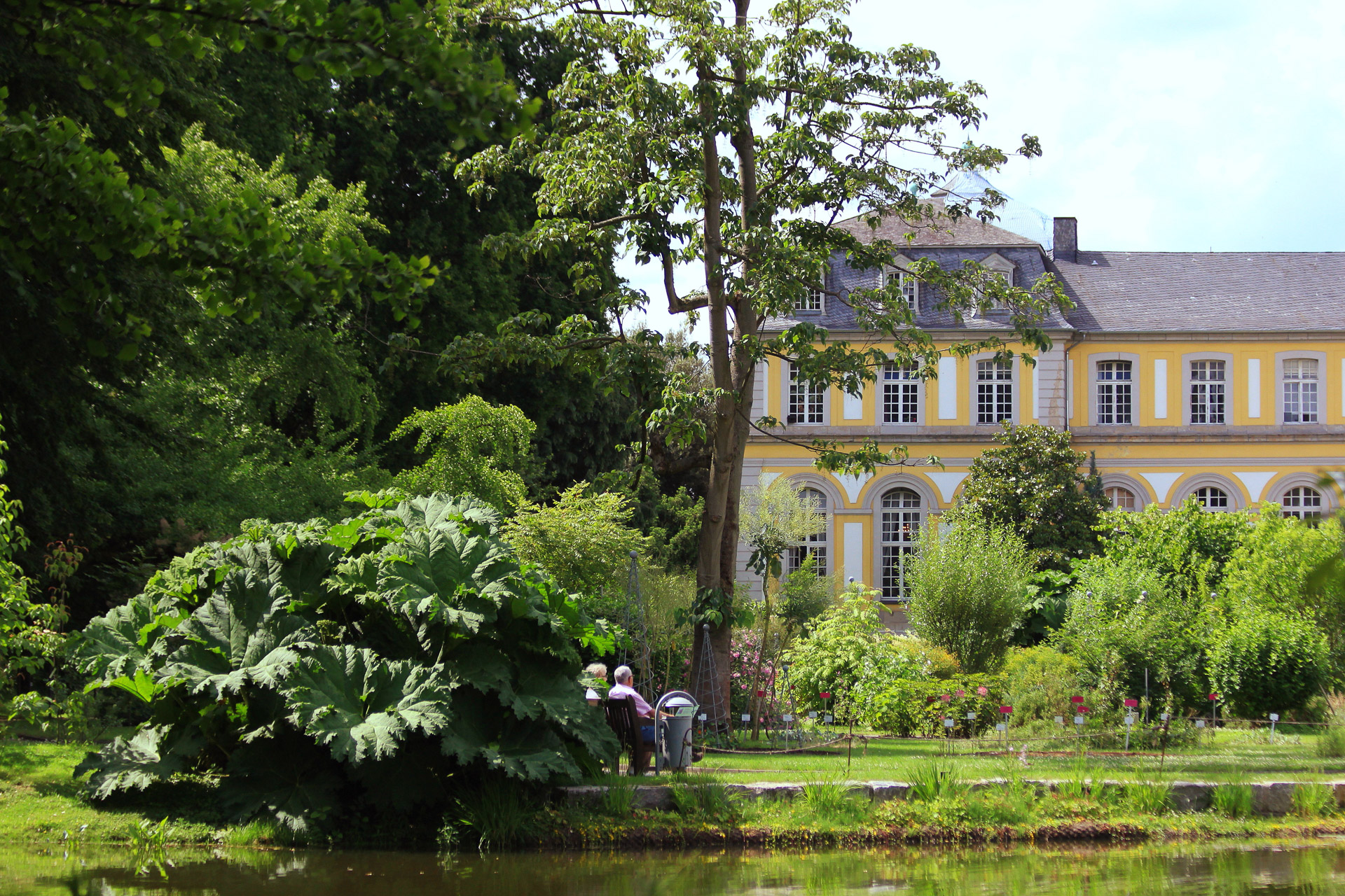 Poppelsdorfer_Schloss_im_Grünen_U.Sobick.jpg