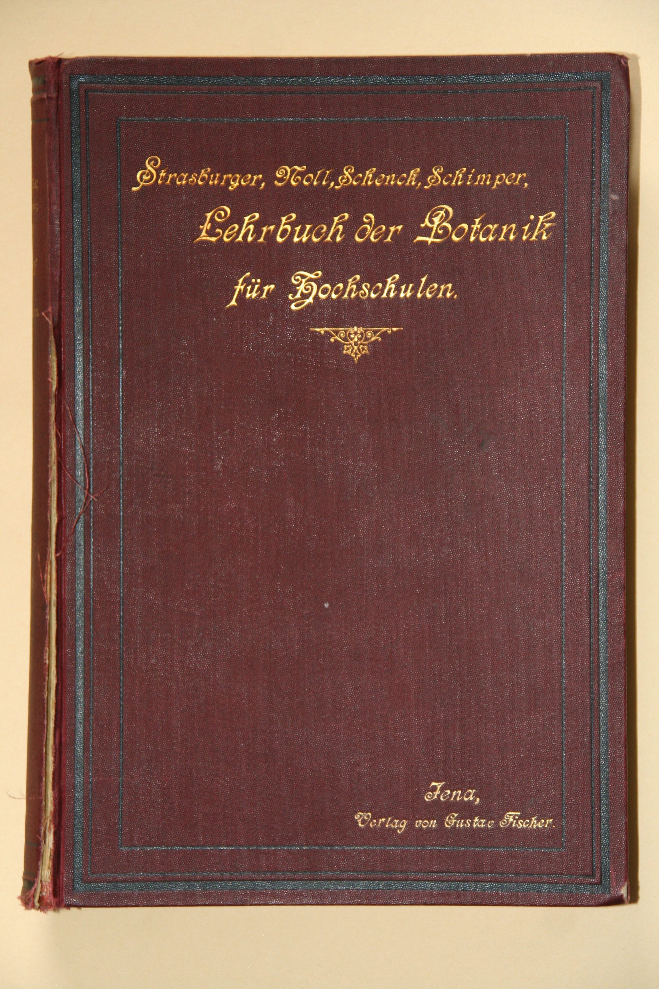 Strasburger_Lehrbuch_W.Lobin.jpg