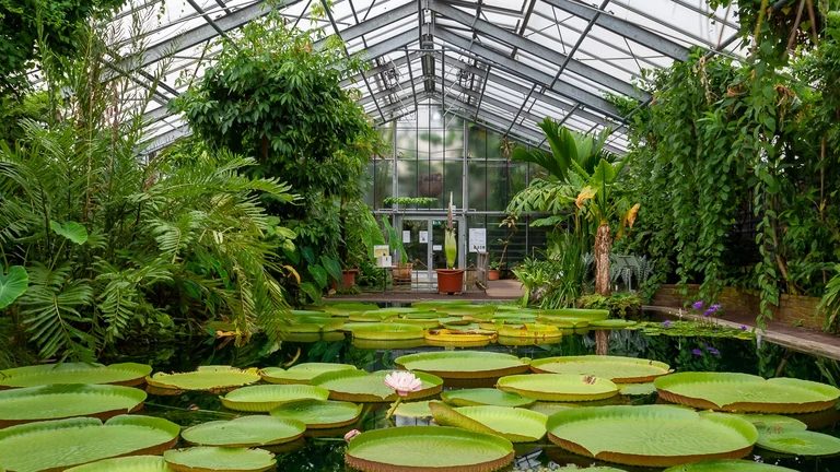 Gewächshäuser im Schlossgarten