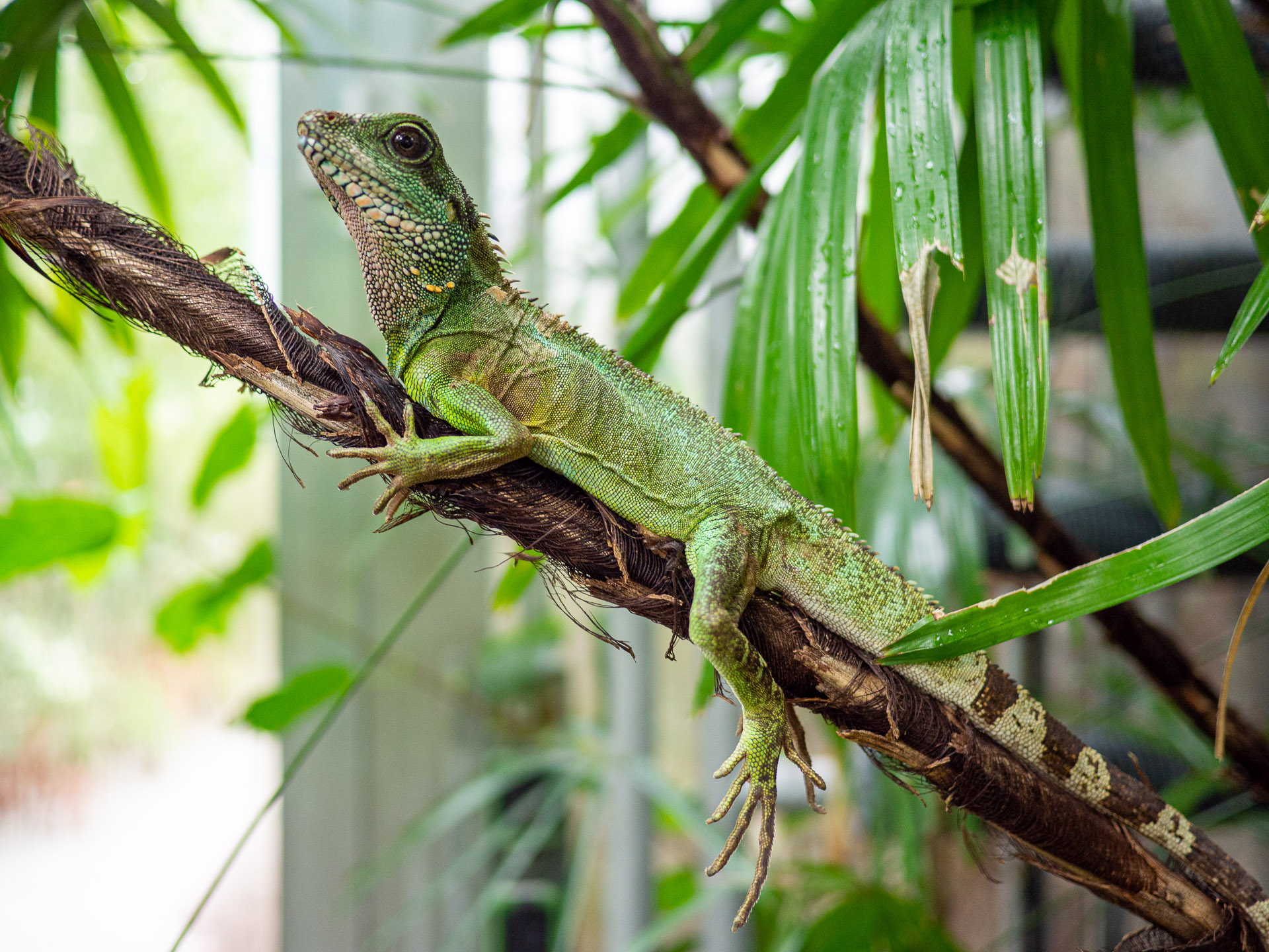 Wasseragame_C.Löhne_Bild_2.jpg