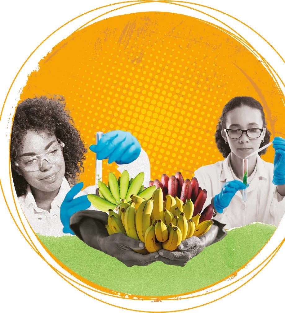 BananaRama-Geschlechtergerechtigkeit-Lernmaterial.jpeg