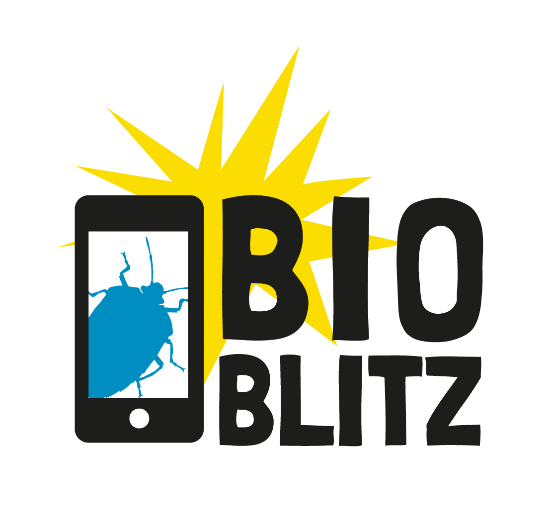 Bioblitz-Logo-01_weiß.jpg