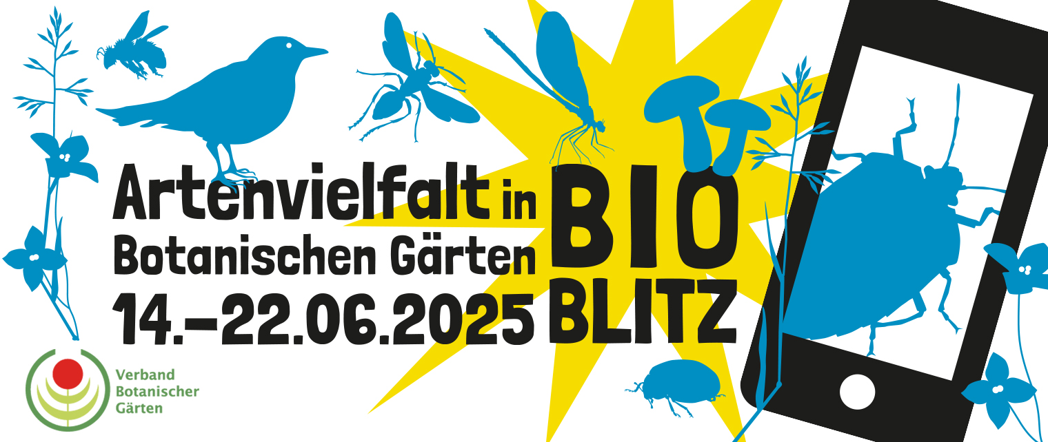 iNaturalist_Banner_Dachprojekt_1520px_642px_weiß.jpg
