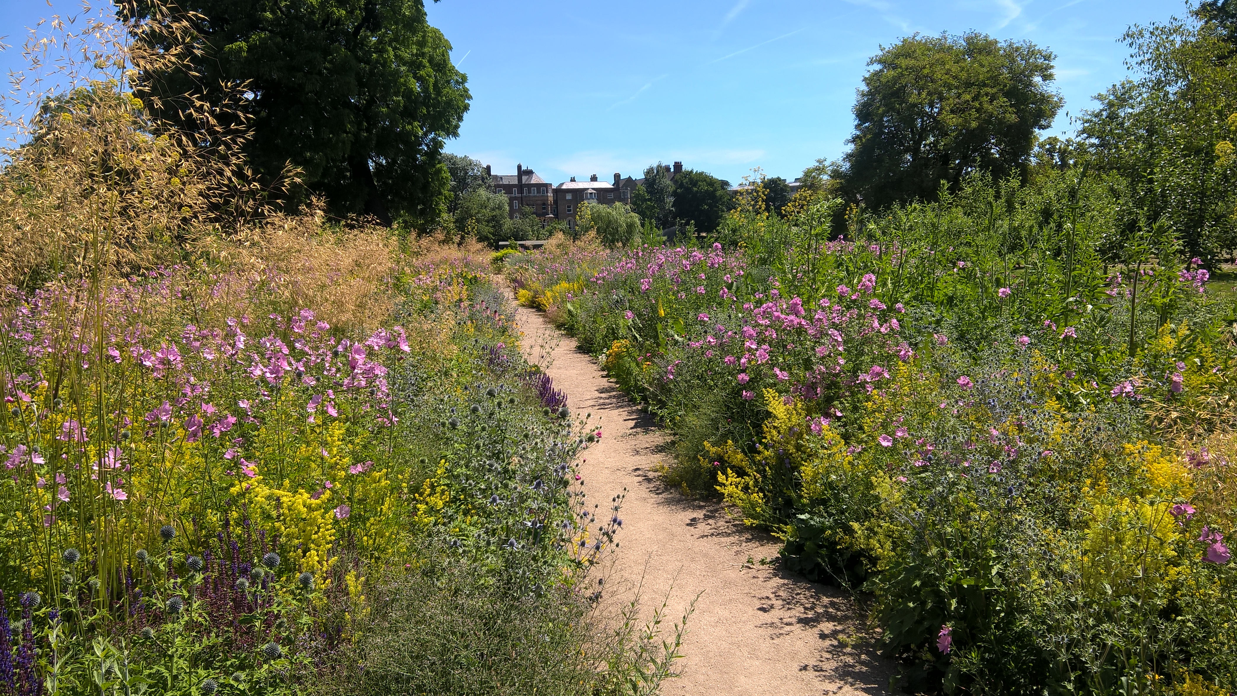 Oxford-Bot.Garten2