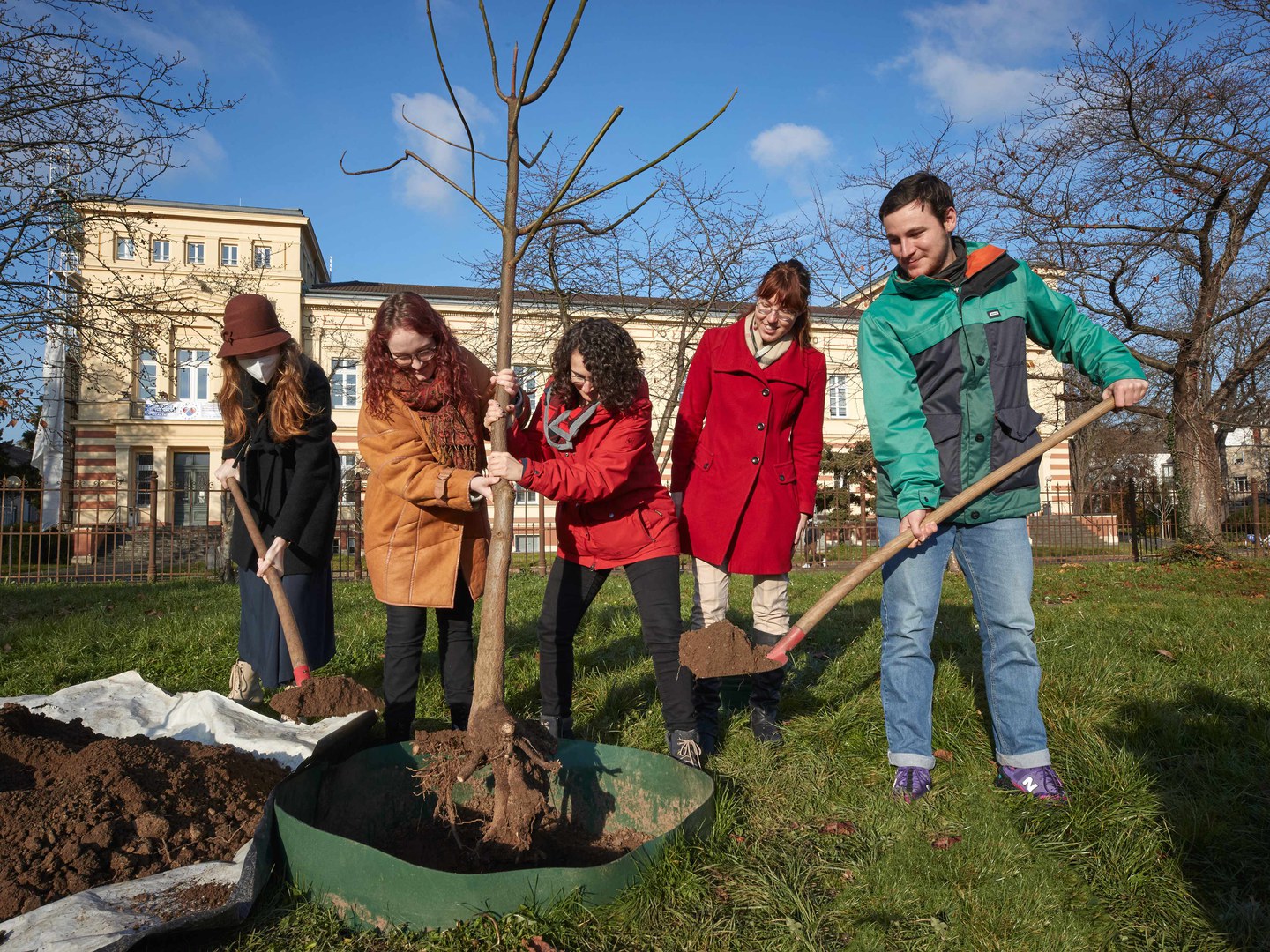 Studierende pflanzen Paulownia fortunei vor das Poppelsdorfer Schloss