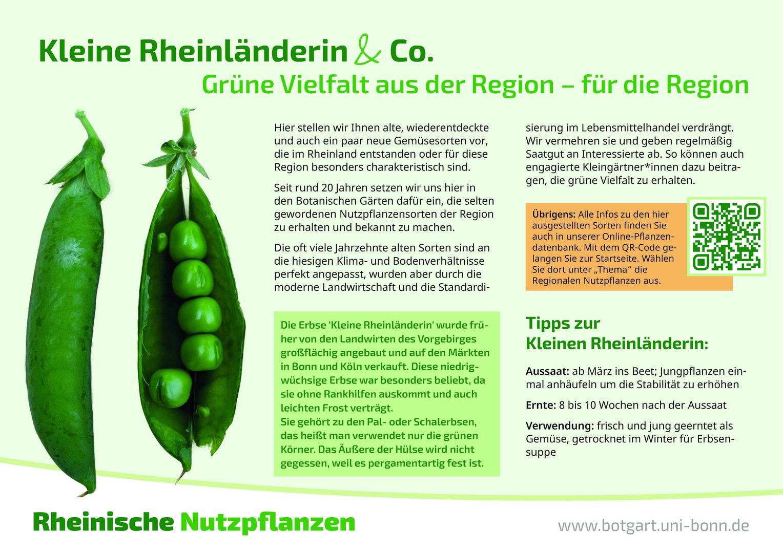 Einleitende Infotafel zur Pflanzenausstellung "Kleine Rheinländerin & Co.