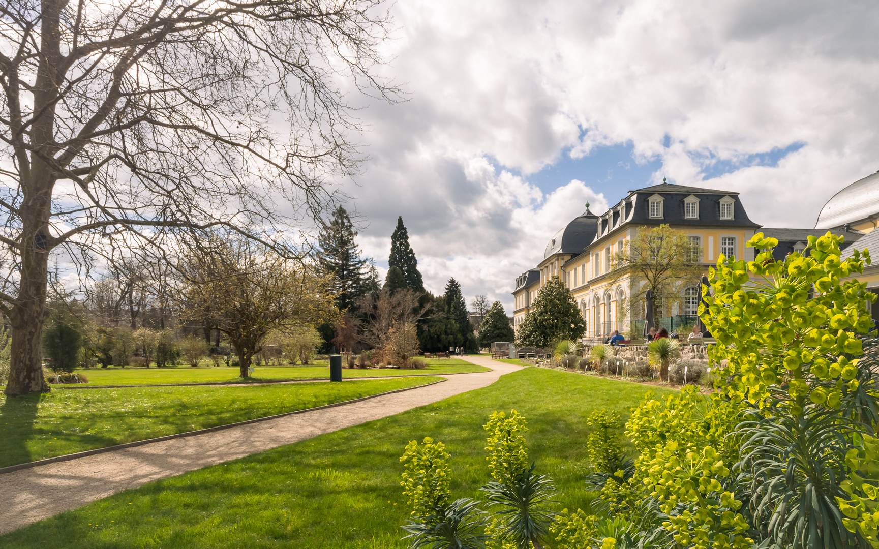 Frühling im Botanischen Garten am Poppelsdorfer Schloss