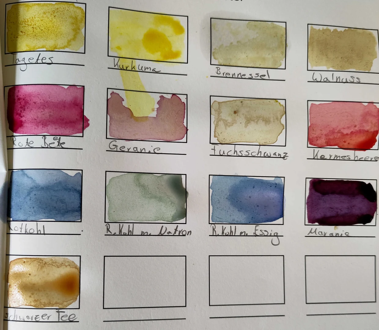 Eine bunte Palette von Pflanzenfarben