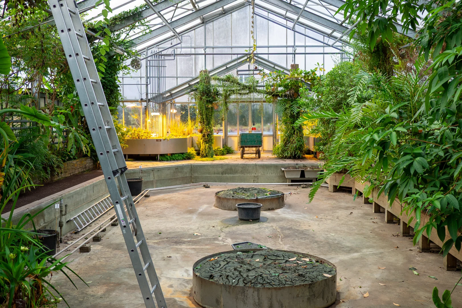 Victoriabecken ohne Wasser - Zeit für Säuberung und Rückschnitt