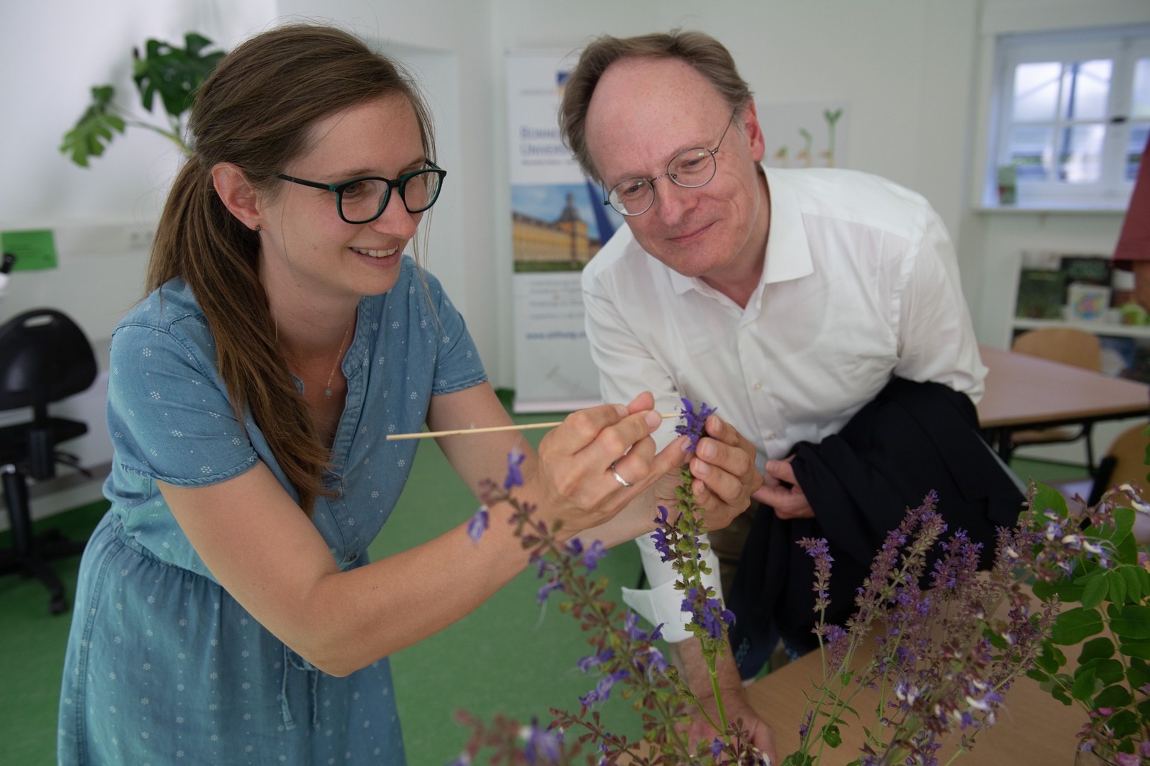 Den Blumen und Bienen auf der Spur