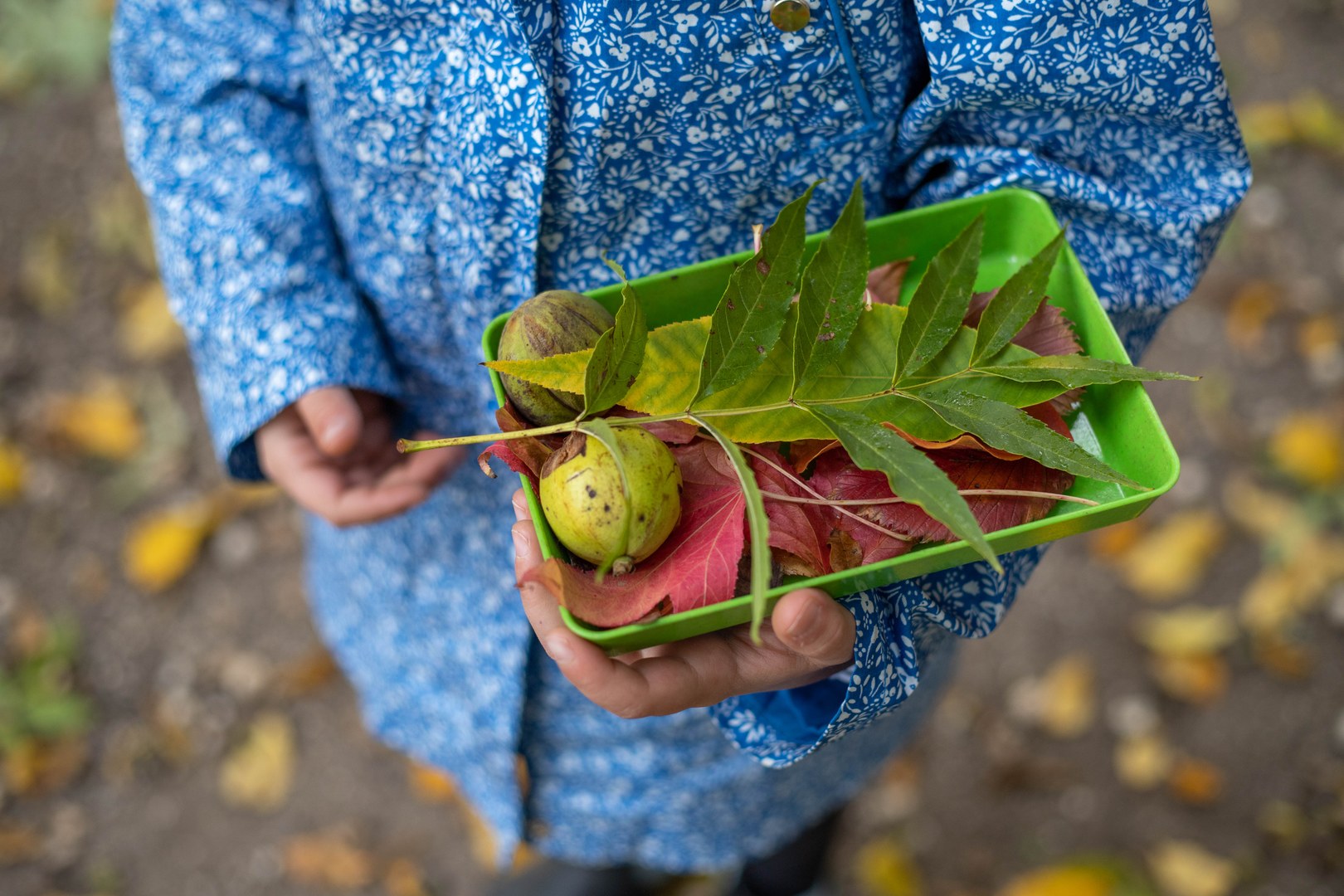 Mit Kindern den Schlossgarten entdecken