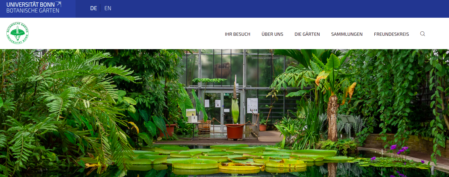 Neue Homepage