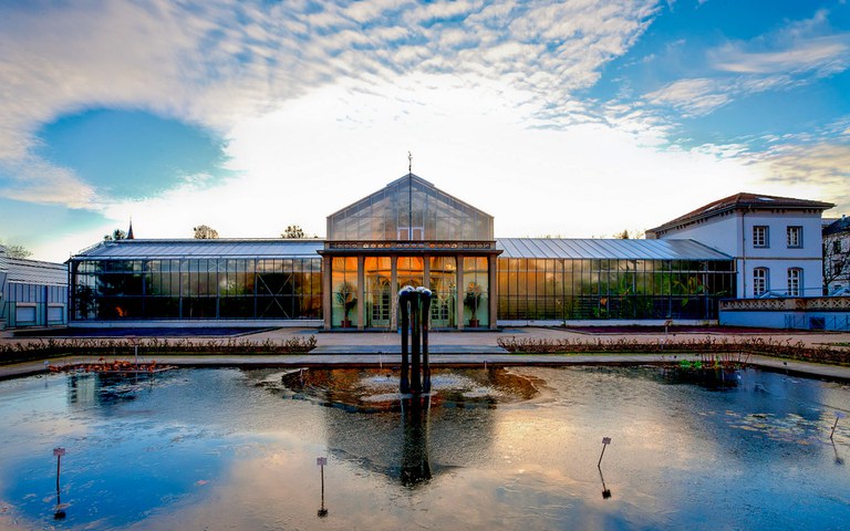 Blick auf die Gewächshäuser im Botanischen Garten am Poppelsdorfer Schloss