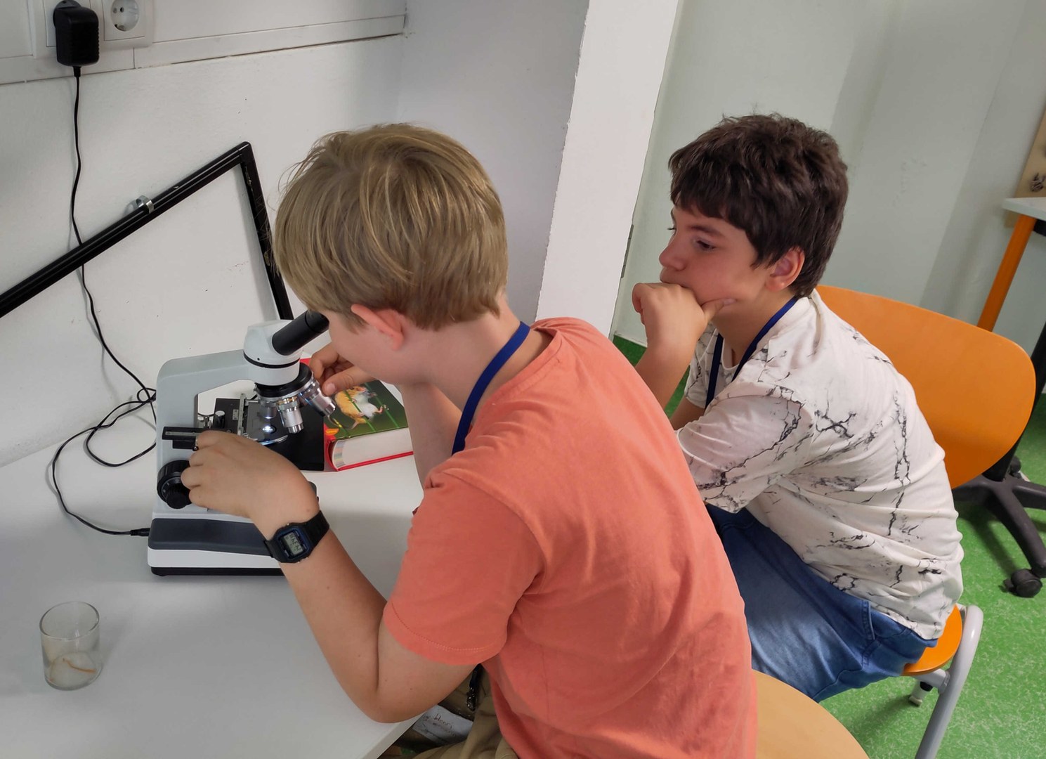 Mikroskopieren in der Grünen Lernwerkstatt