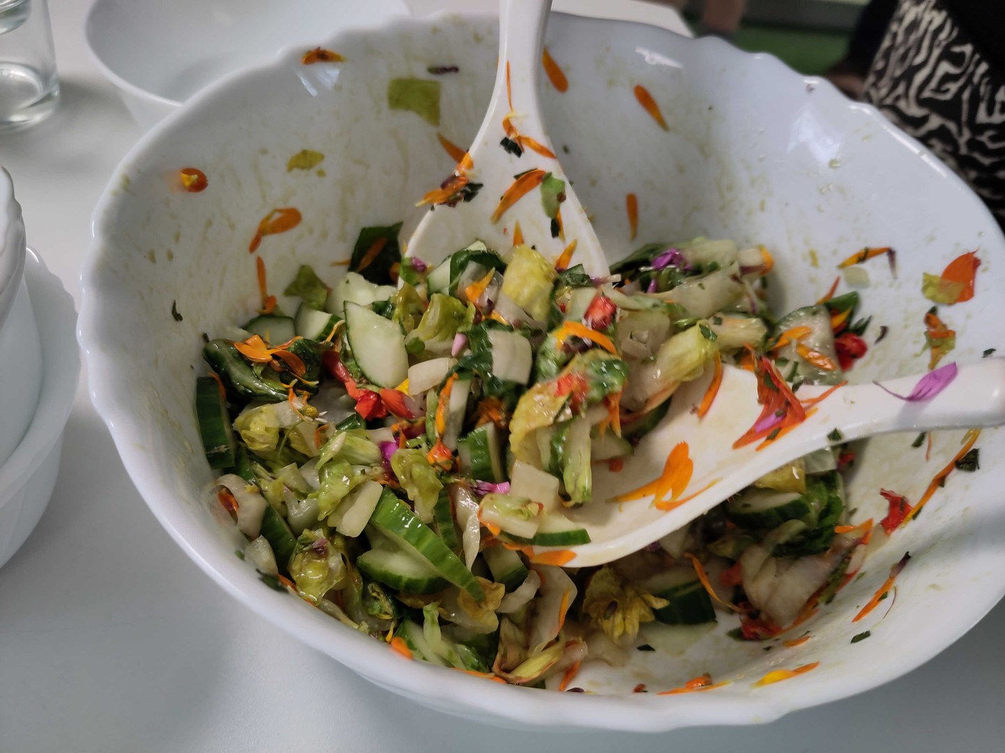Pflanzenvielfalt zum essen