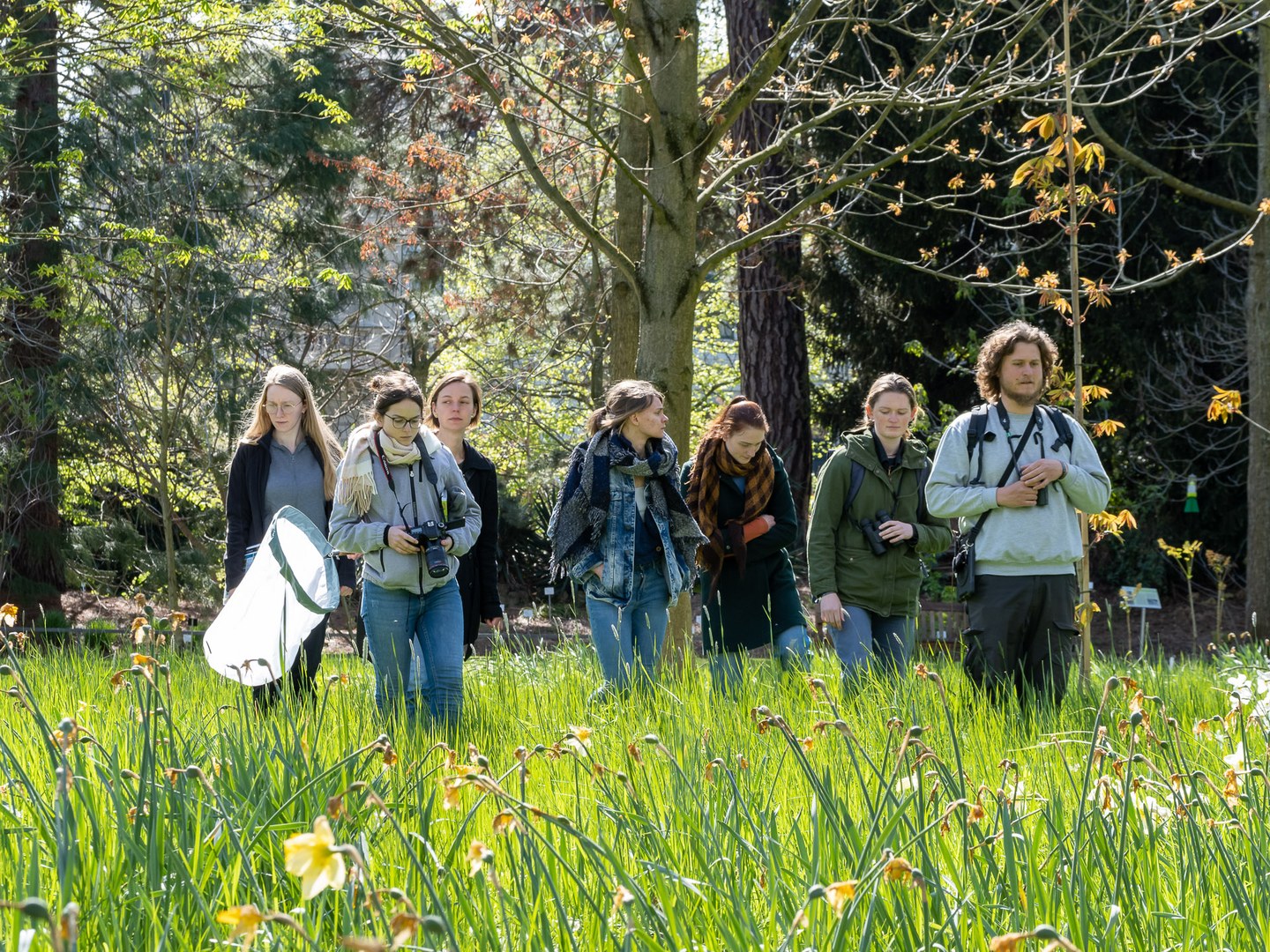 Tagfalter-Monitoring im Botanischen Garten